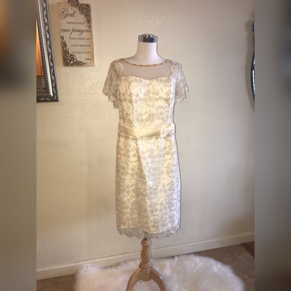 Full Lace Filipiniana Mother’s Short Dress